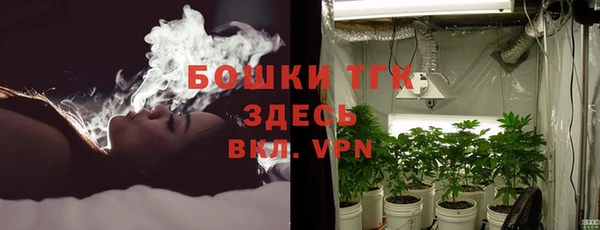 твердый Дмитриев