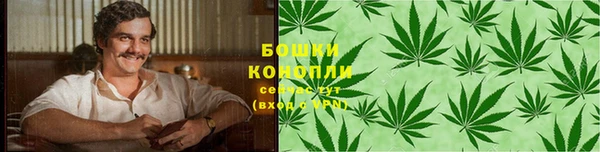 твердый Дмитриев