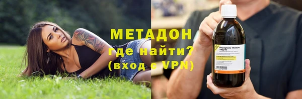 прущие грибы Дмитровск