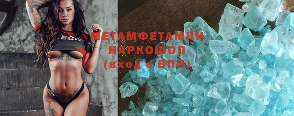 прущие грибы Дмитровск