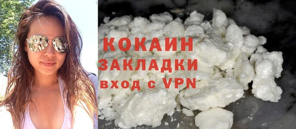 индика Туринск