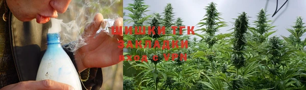 прущие грибы Дмитровск