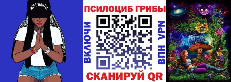Псилоцибиновые грибы Magic Shrooms  Плавск 
