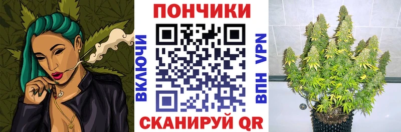 цена   Плавск  Бошки марихуана SATIVA & INDICA 